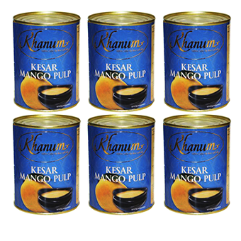 Kesar Mango Slice-6x850g03